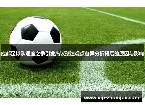 成都足球队速度之争引发热议球迷观点各异分析背后的原因与影响