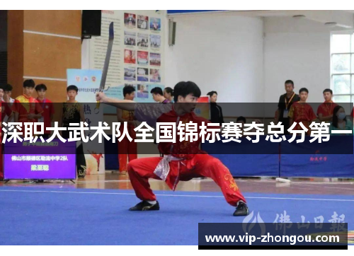 深职大武术队全国锦标赛夺总分第一